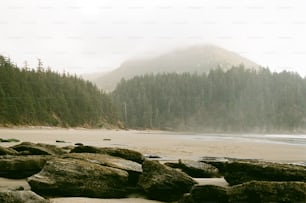 a rocky beach with a mountain in the background