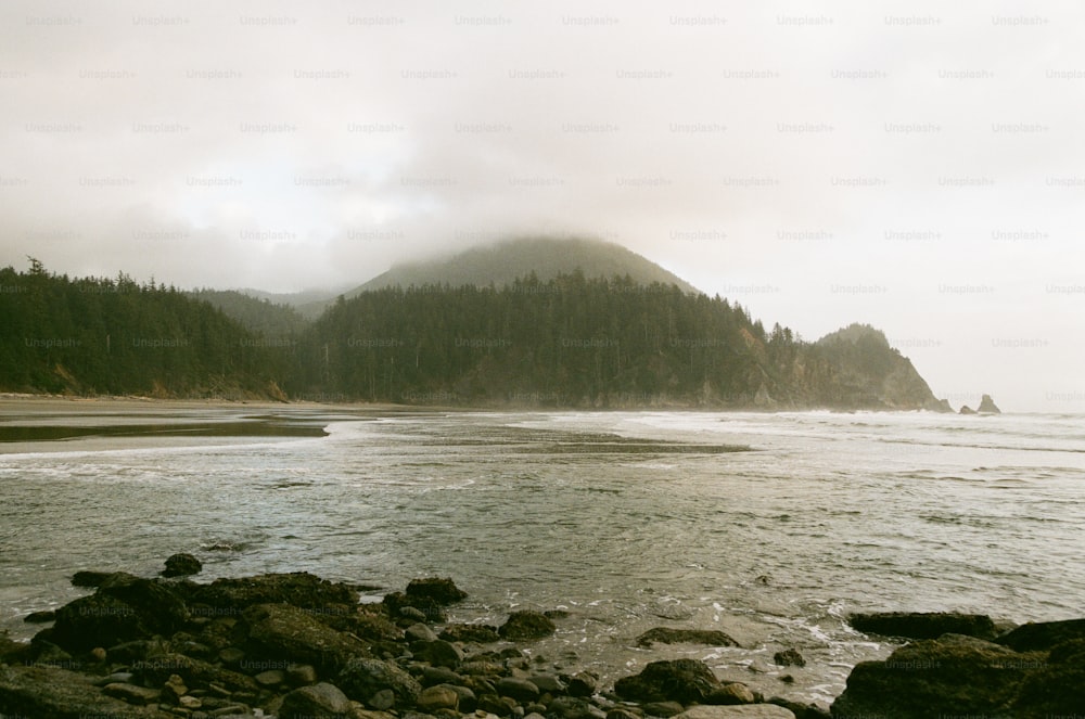 a body of water surrounded by trees and rocks