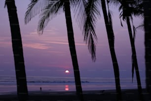 o sol está se pondo sobre a praia com palmeiras