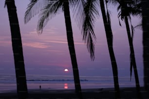 the sun is setting over the beach with palm trees