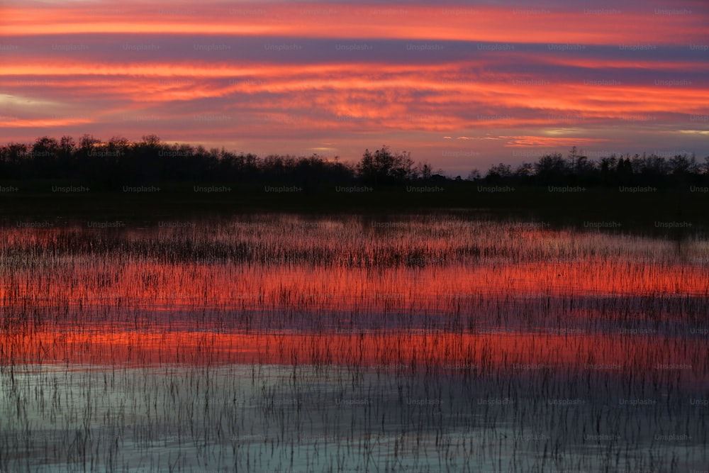 a red sky is reflected in a body of water