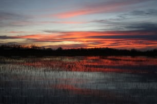 the sun is setting over a marshy area