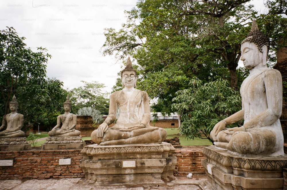 a group of buddha statues sitting on top of a lush green field