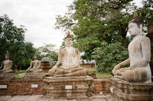a group of buddha statues sitting on top of a lush green field