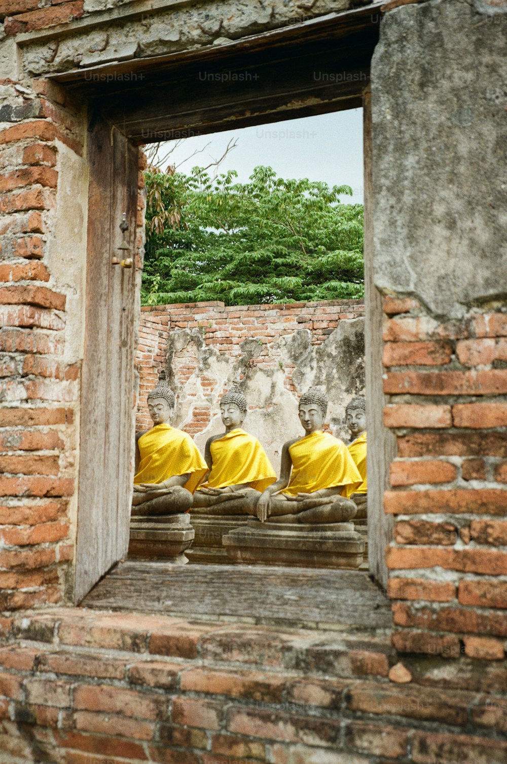 Eine Gruppe von Mönchen in gelben Roben sitzt in einer Tür