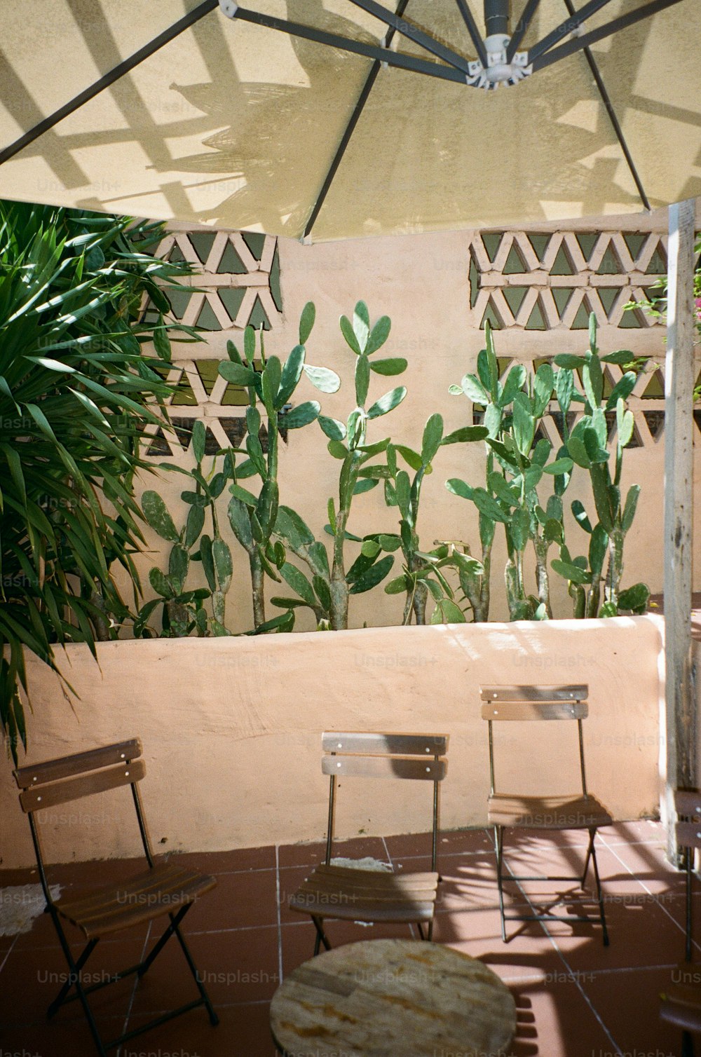 a couple of chairs sitting under a large umbrella