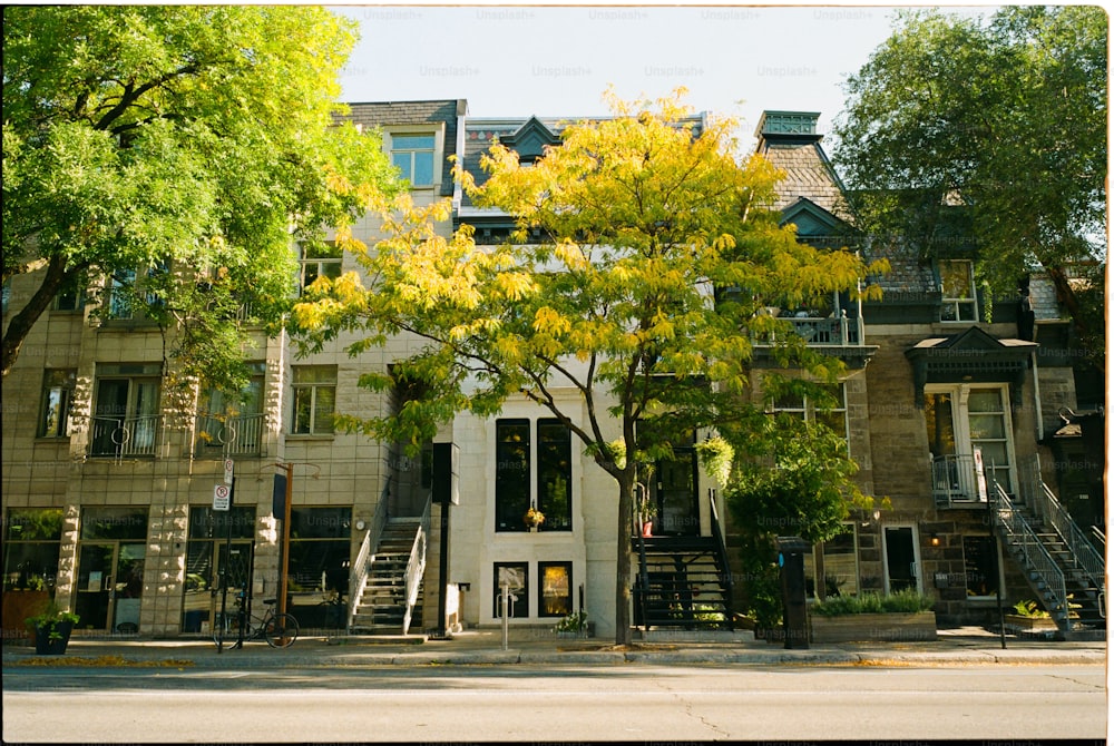 a building with a tree in front of it