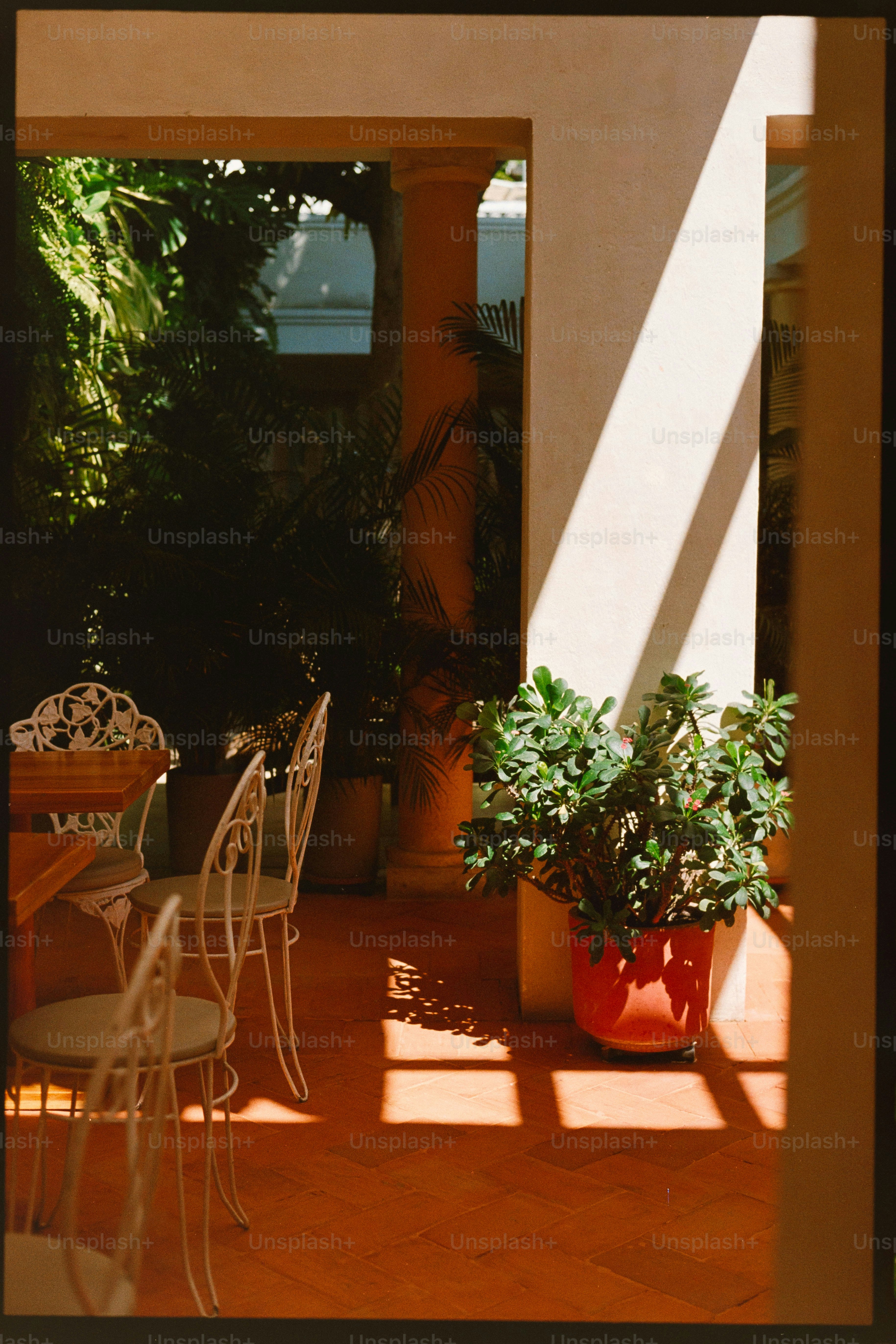 A patio with a table and chairs and a potted plant photo – Summer Image ...