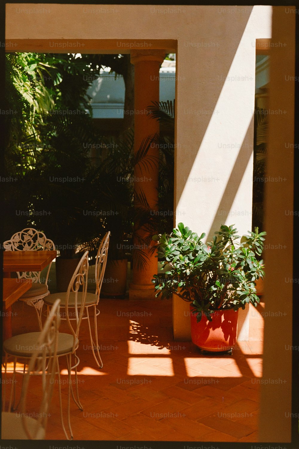 un patio con una mesa y sillas y una planta en maceta