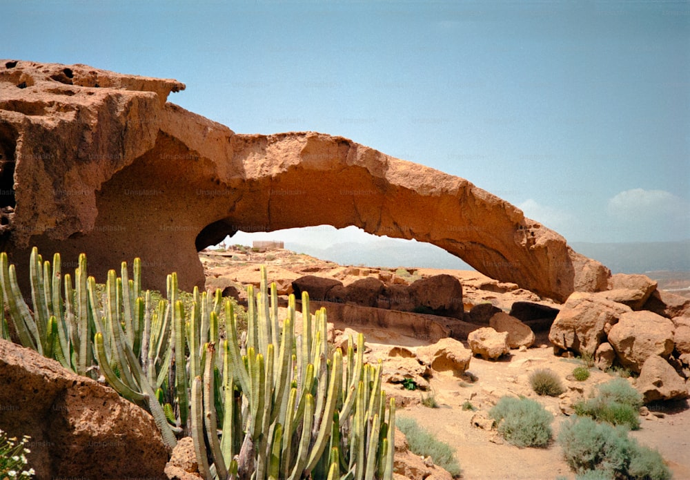 un arco di roccia nel deserto con un cactus in primo piano