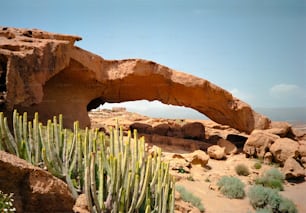 a rock arch in the desert with a cactus in the foreground