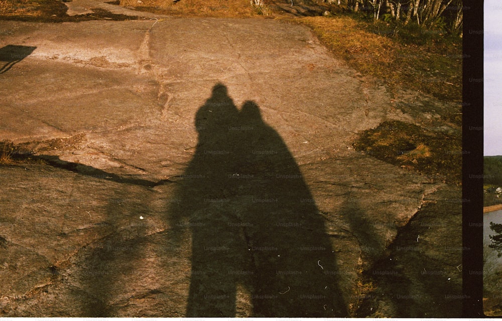 uma sombra de uma pessoa em um skate