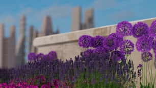 a bunch of flowers that are by a building