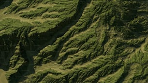 Una vista aérea de una exuberante ladera verde