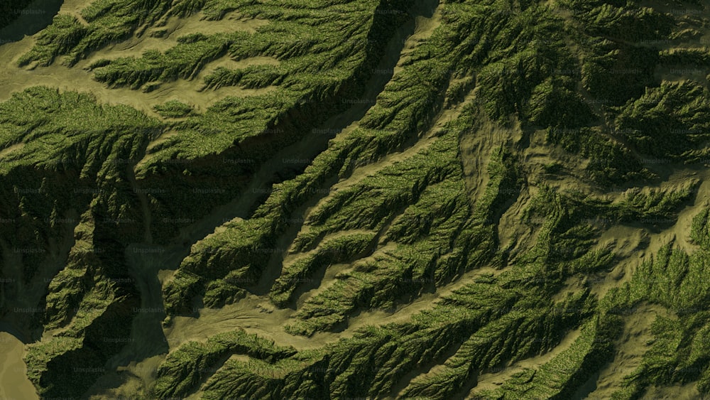 an aerial view of a lush green hillside