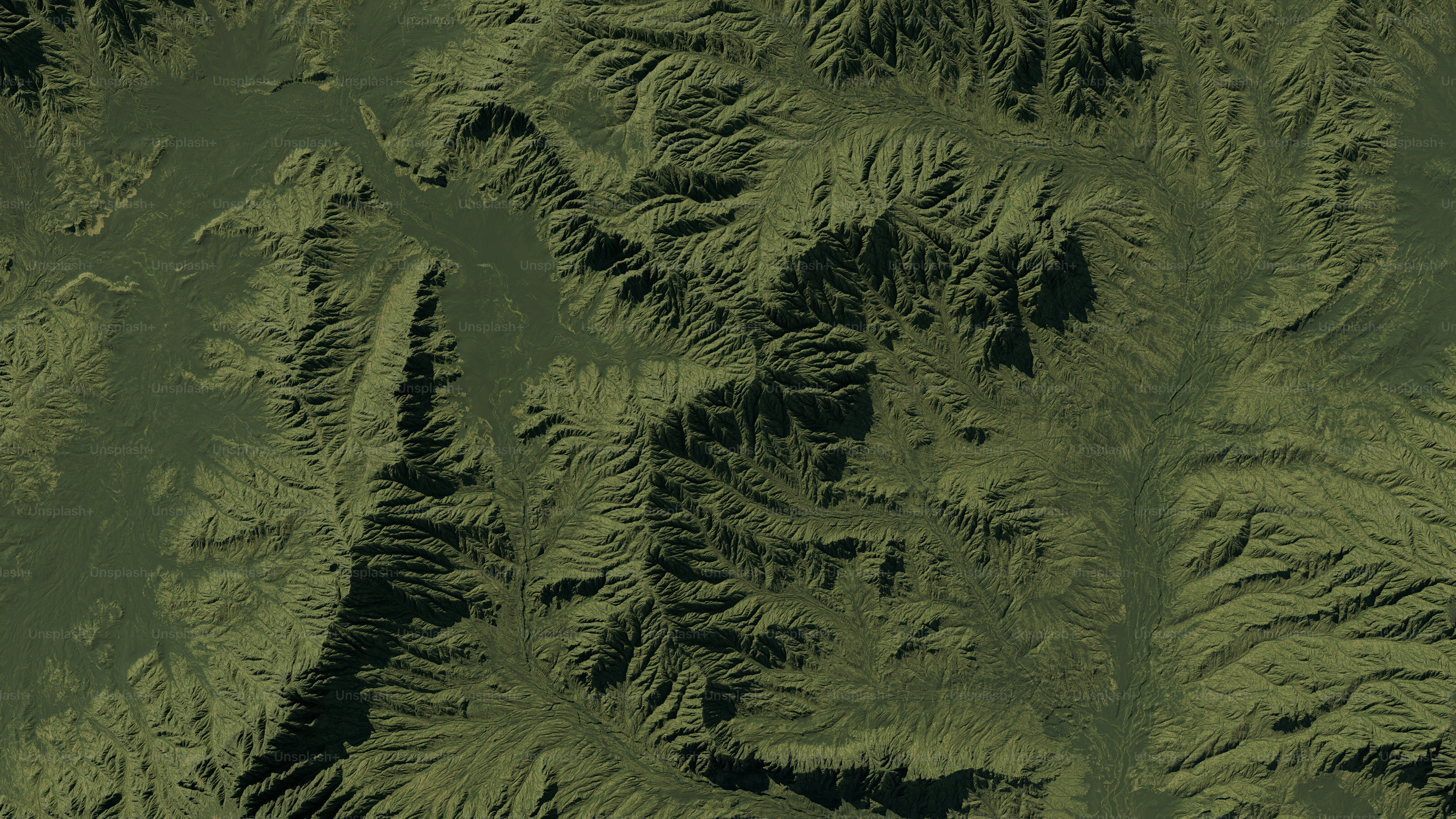 a satellite image of a green mountain range