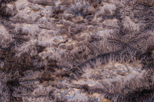a close up of a brown and black animal fur