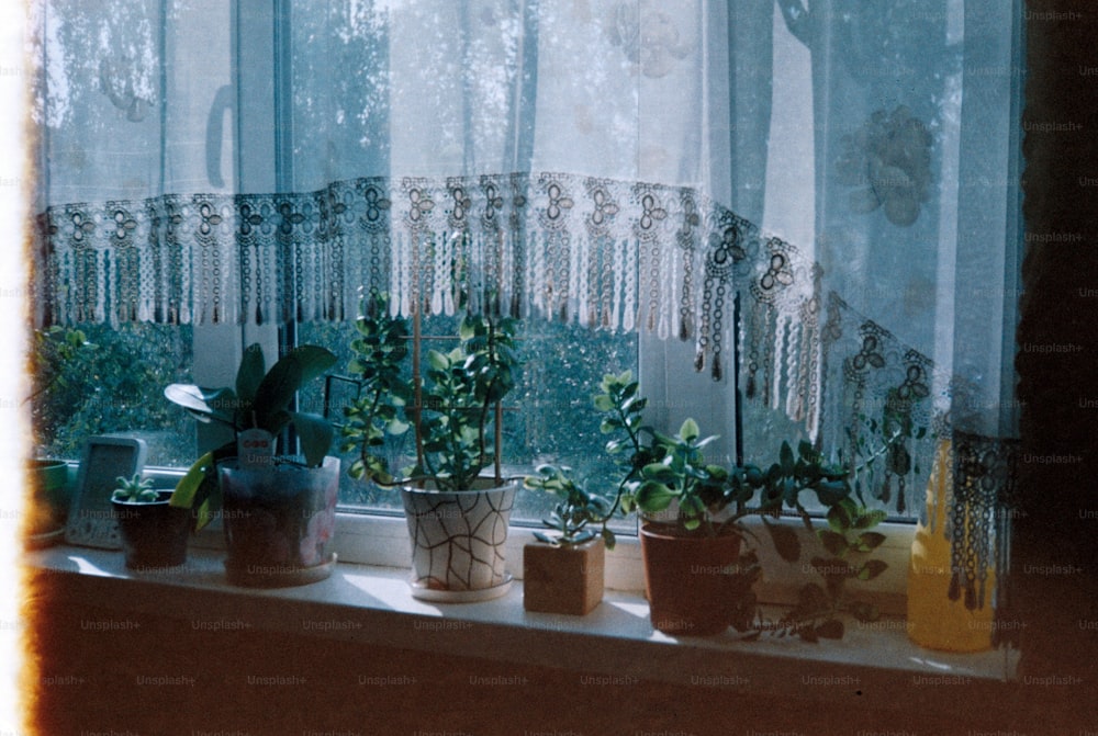 a window sill filled with potted plants next to a window
