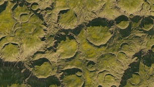 an aerial view of a field of green plants
