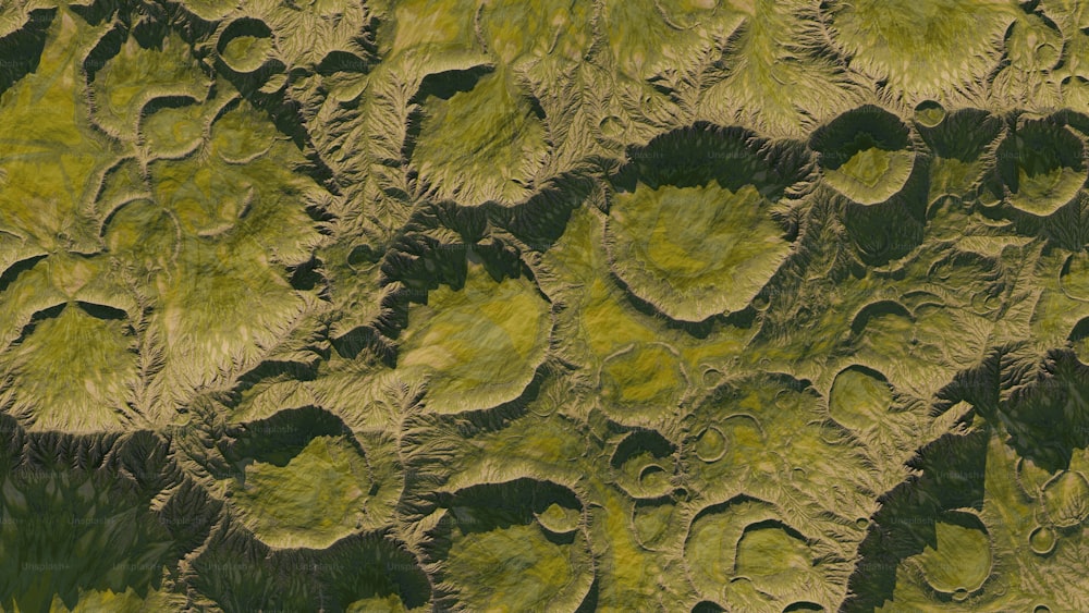 an aerial view of a field of green plants