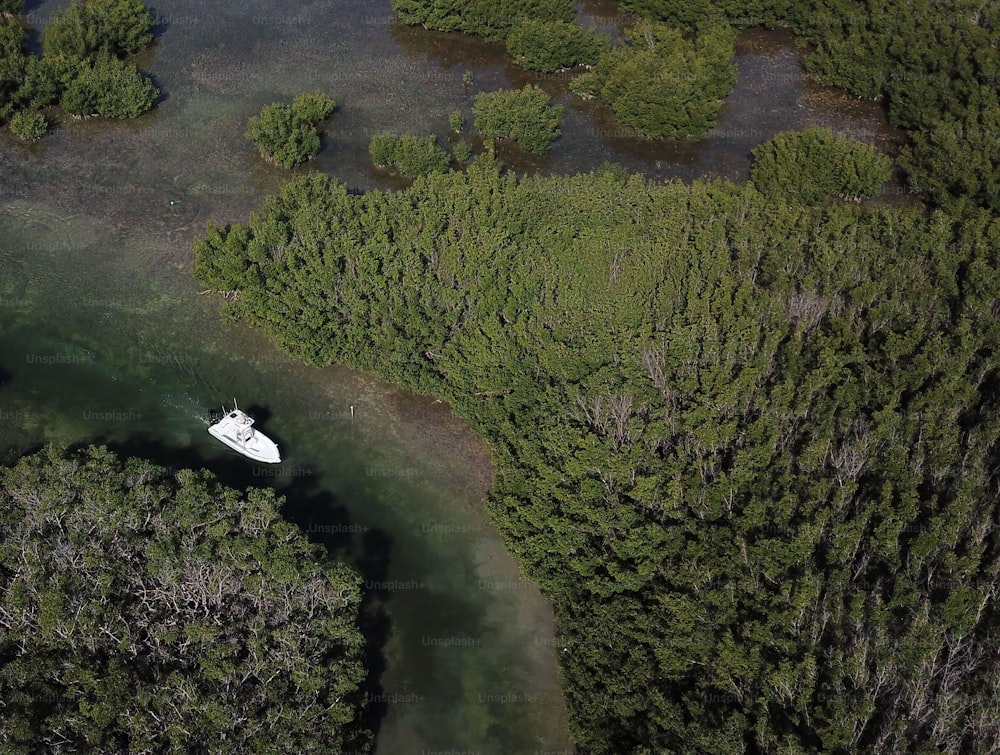 um barco branco flutuando no topo de um rio cercado por árvores