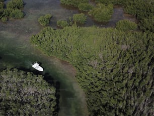 a white boat floating on top of a river surrounded by trees