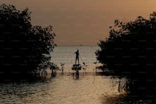 une personne debout sur une planche à pagaie dans l’eau
