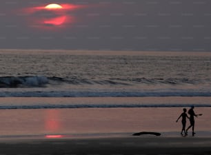 a couple of people standing on top of a beach next to the ocean