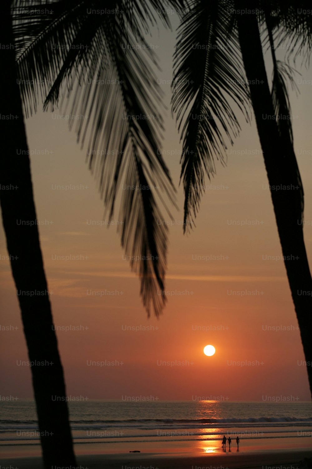 the sun is setting over the ocean with palm trees