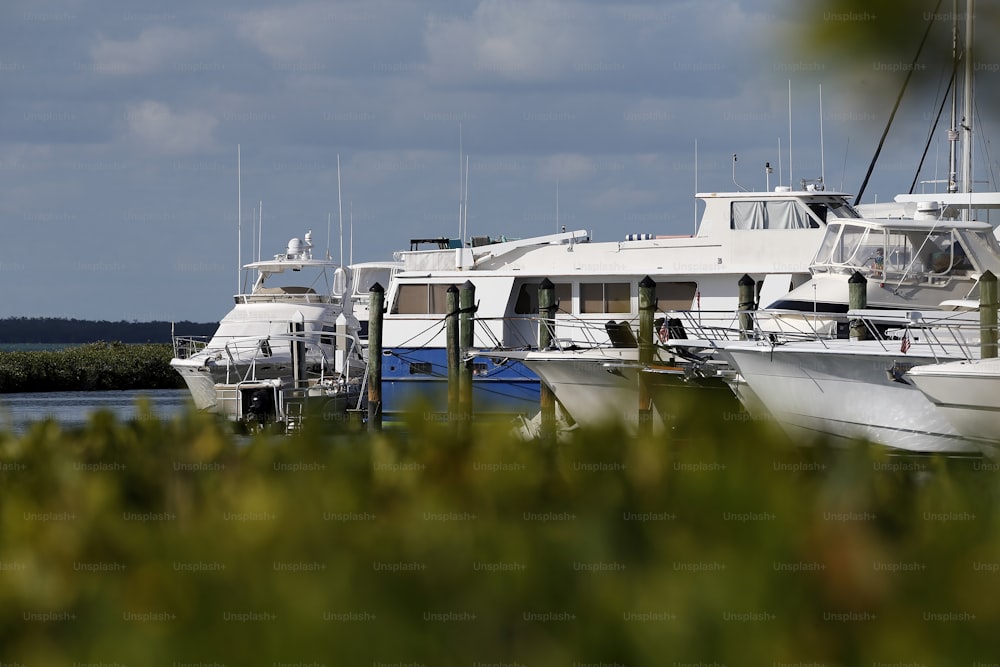 a bunch of boats that are sitting in the water