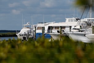 ein Haufen Boote, die im Wasser sitzen