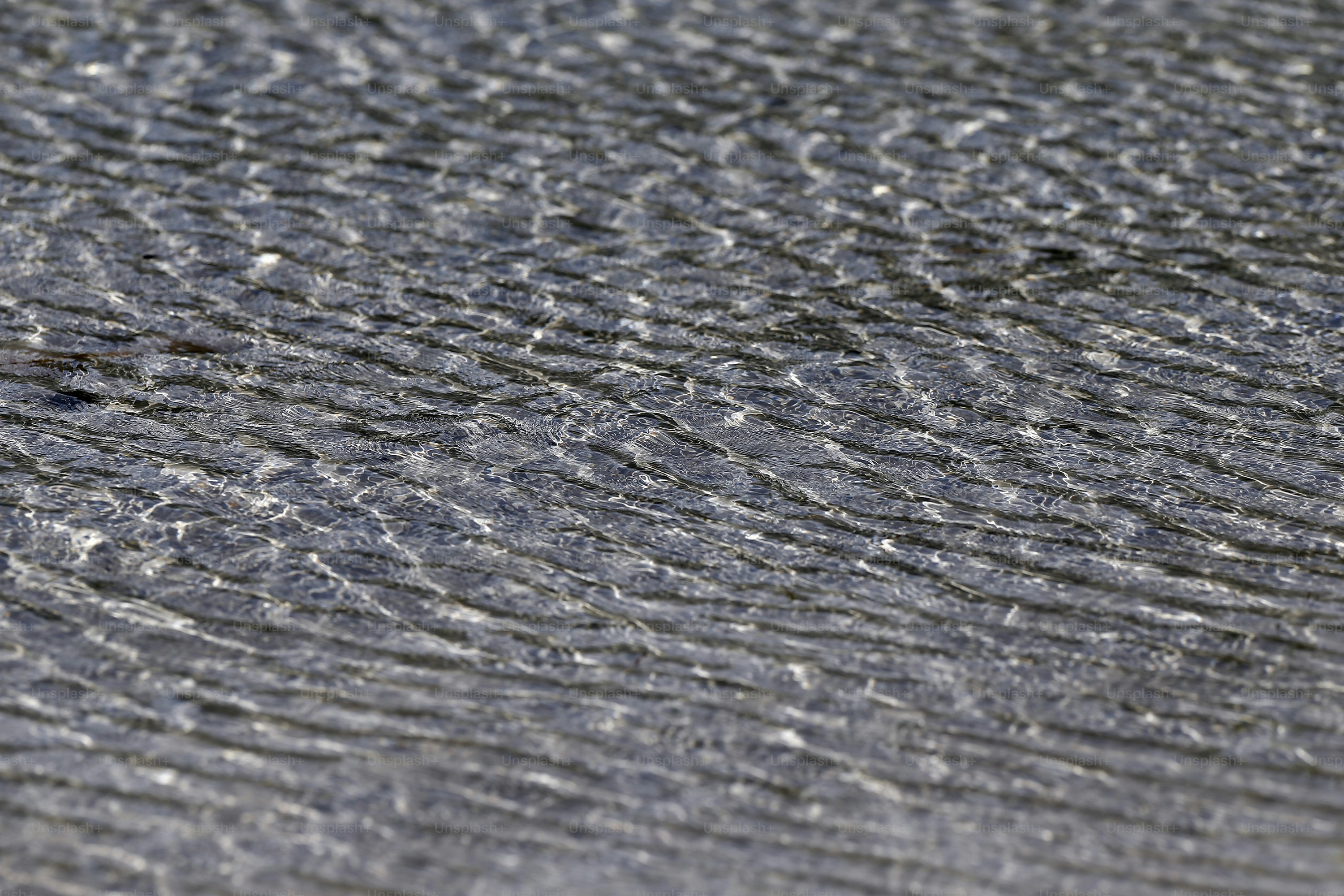 a bird standing on top of a sandy beach