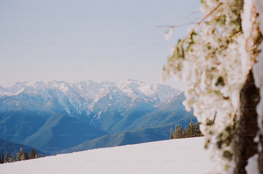 a view of a snowy mountain range from a distance