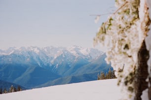 uma vista de uma cordilheira nevada à distância