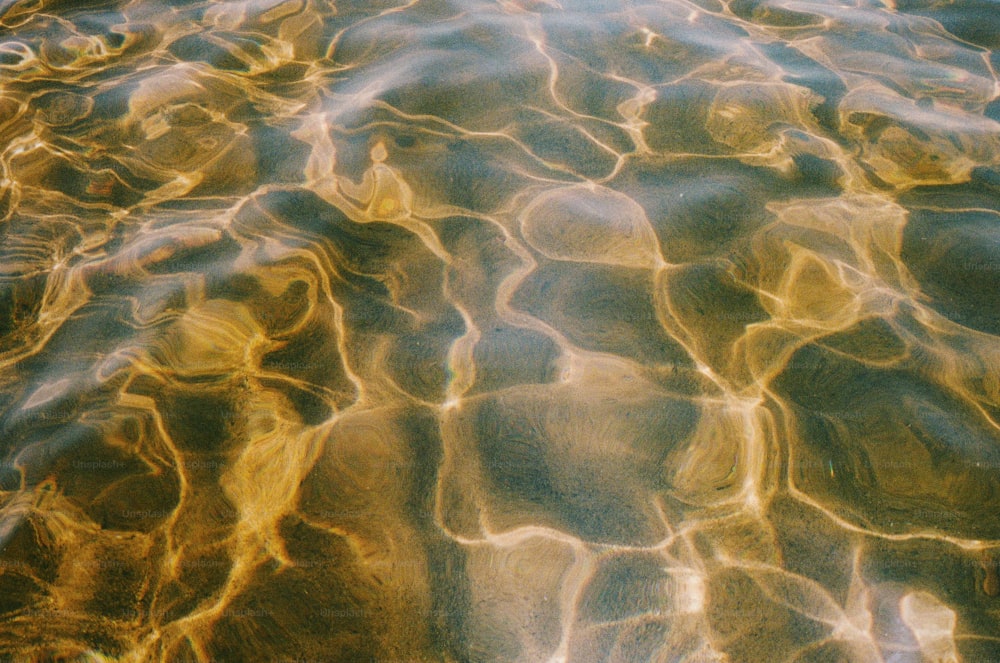 a body of water that has a bunch of rocks in it