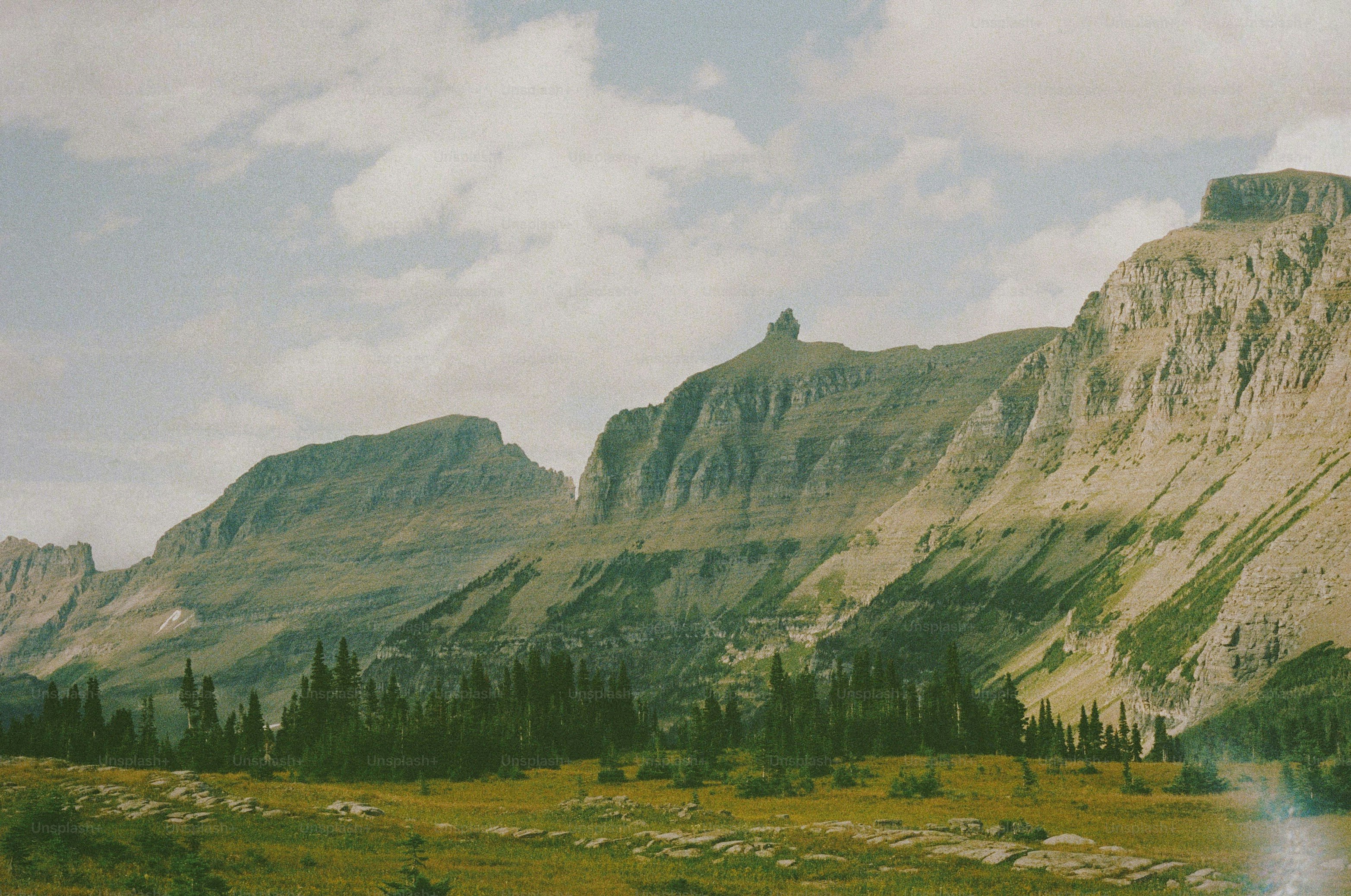 a mountain range with a few trees in the foreground
