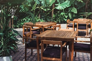 椅子と植物�に囲まれた木製のテーブル