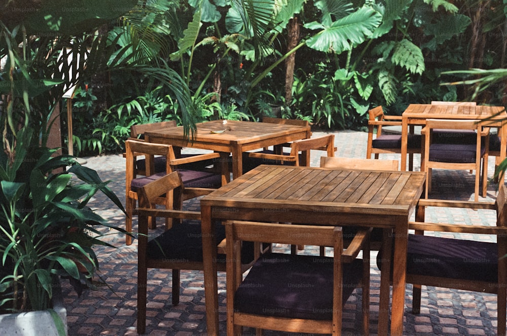 uma mesa de madeira rodeada por cadeiras e plantas