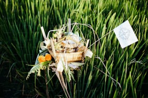 a basket of food sitting in the middle of some tall grass