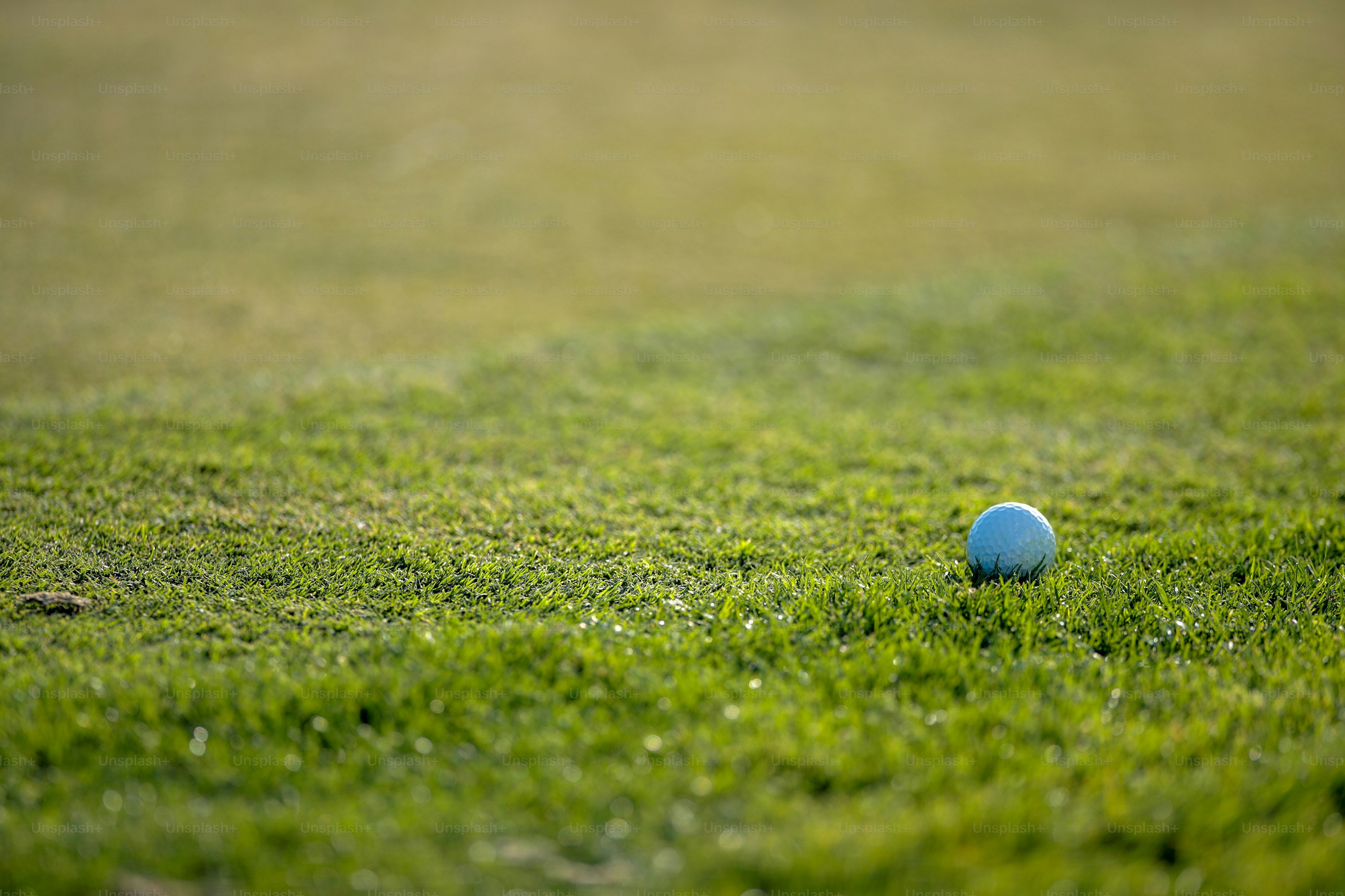 青々とした緑の野原の上に鎮座する青いボール