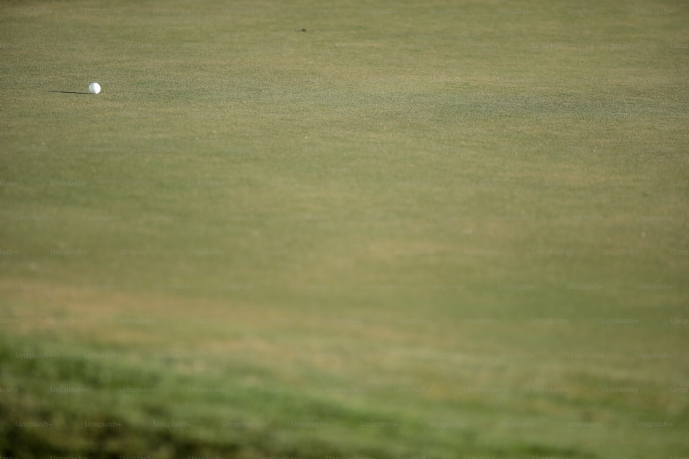 Una pelota de golf en el green de un campo de golf