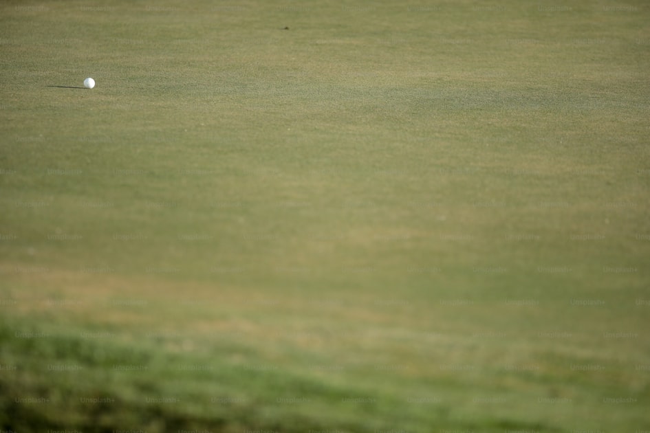 Putter kaufen 2026 die 8 besten modelle — practical guide overview