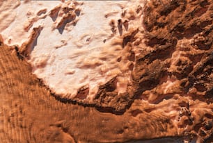 a close up of a piece of wood with dirt on it