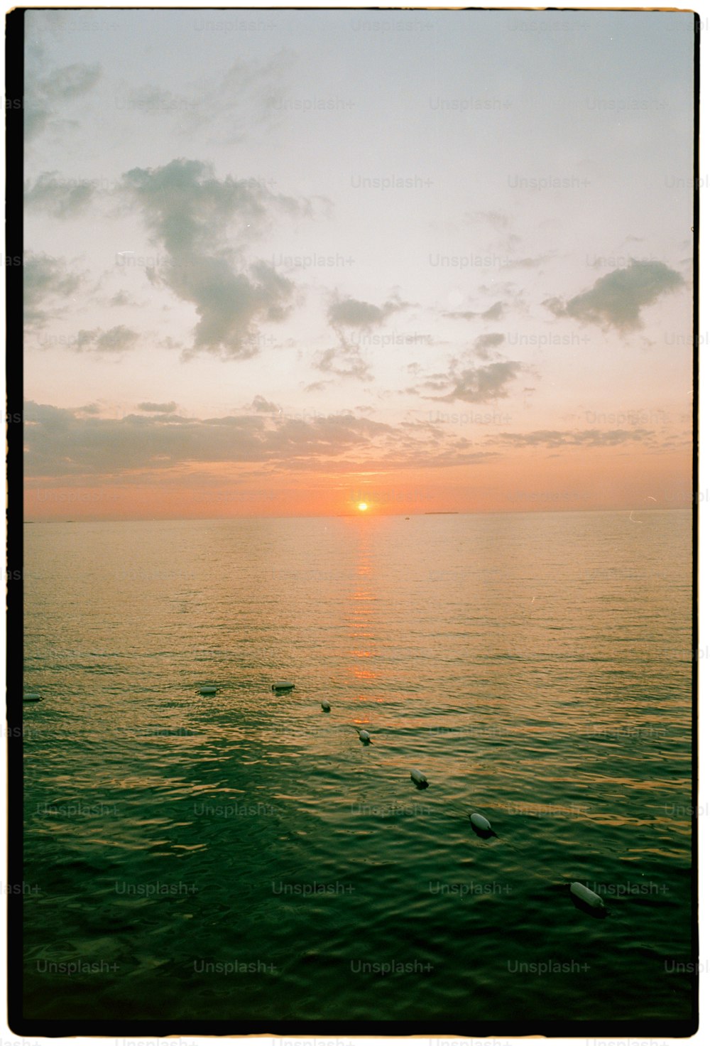 El sol se está poniendo sobre el océano con patos nadando en el agua