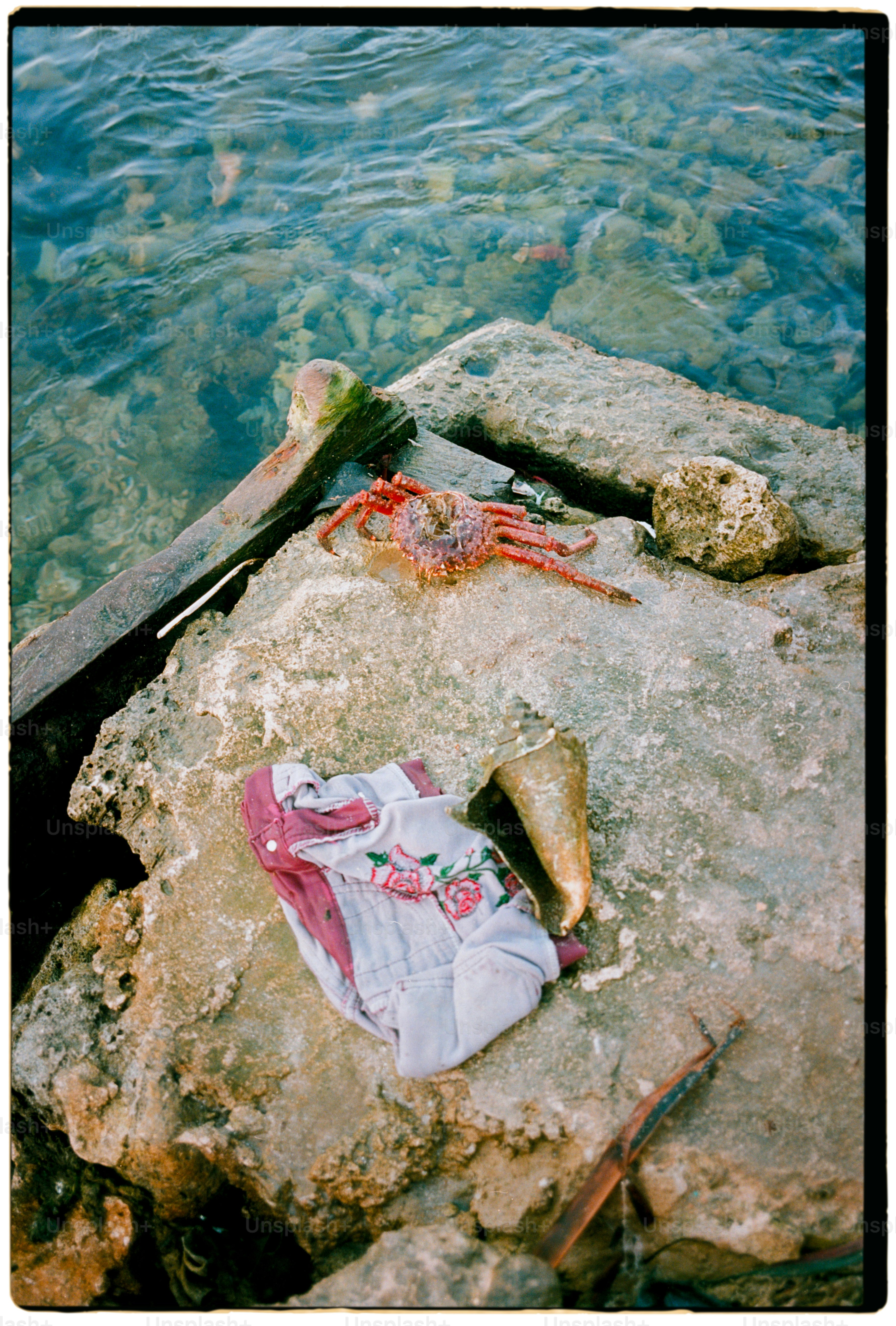 un paio di scarpe appoggiate in cima a una roccia vicino a uno specchio d'acqua