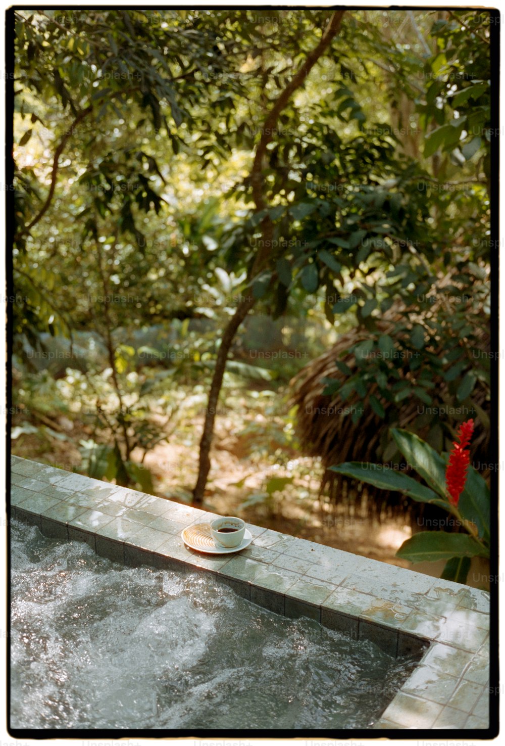 a hot tub in the middle of a forest