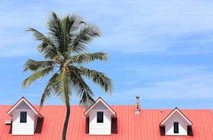 un tejado rojo con tres ventanas y una palmera