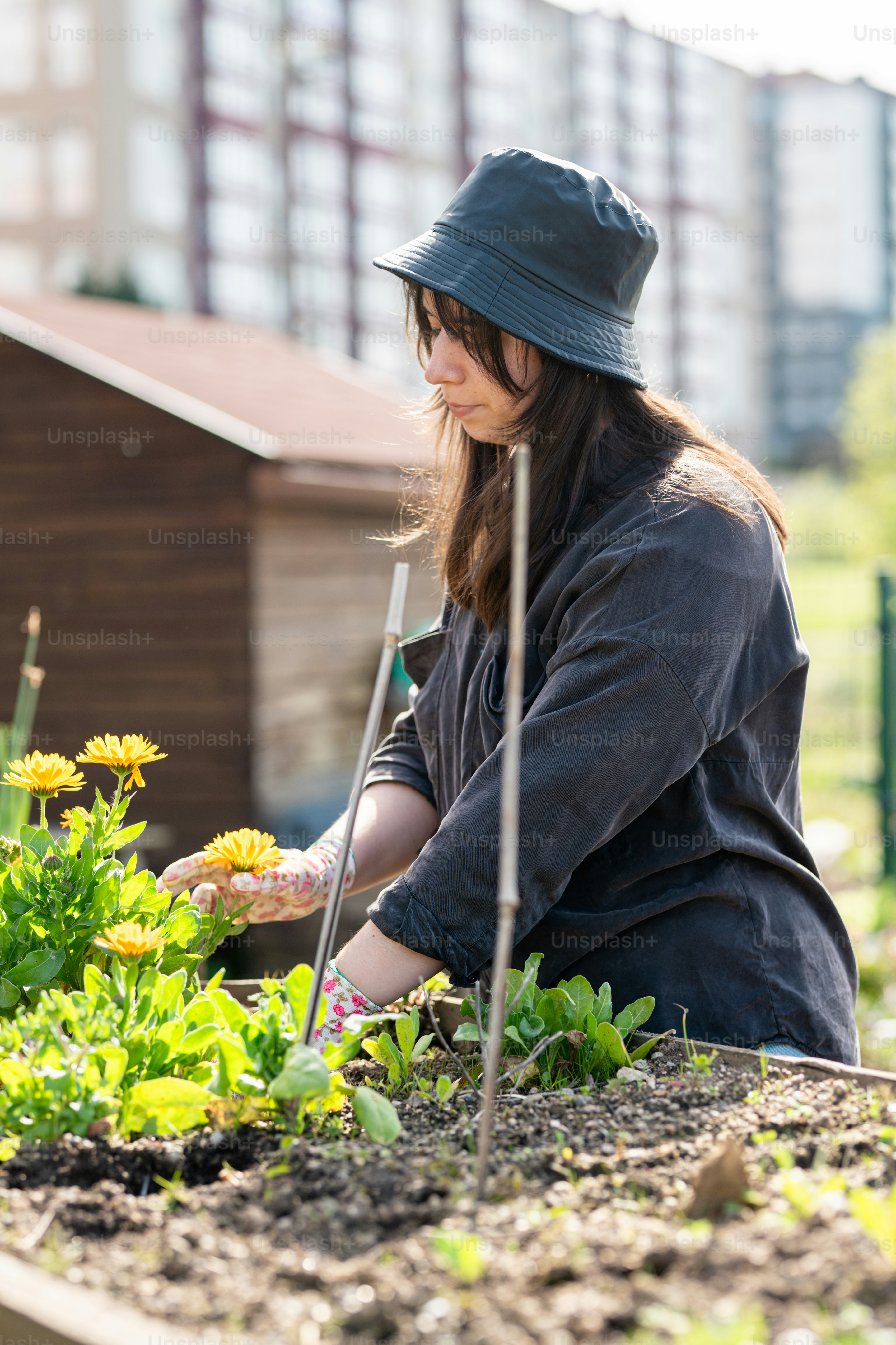 a woman kneeling down in a garden with flowers