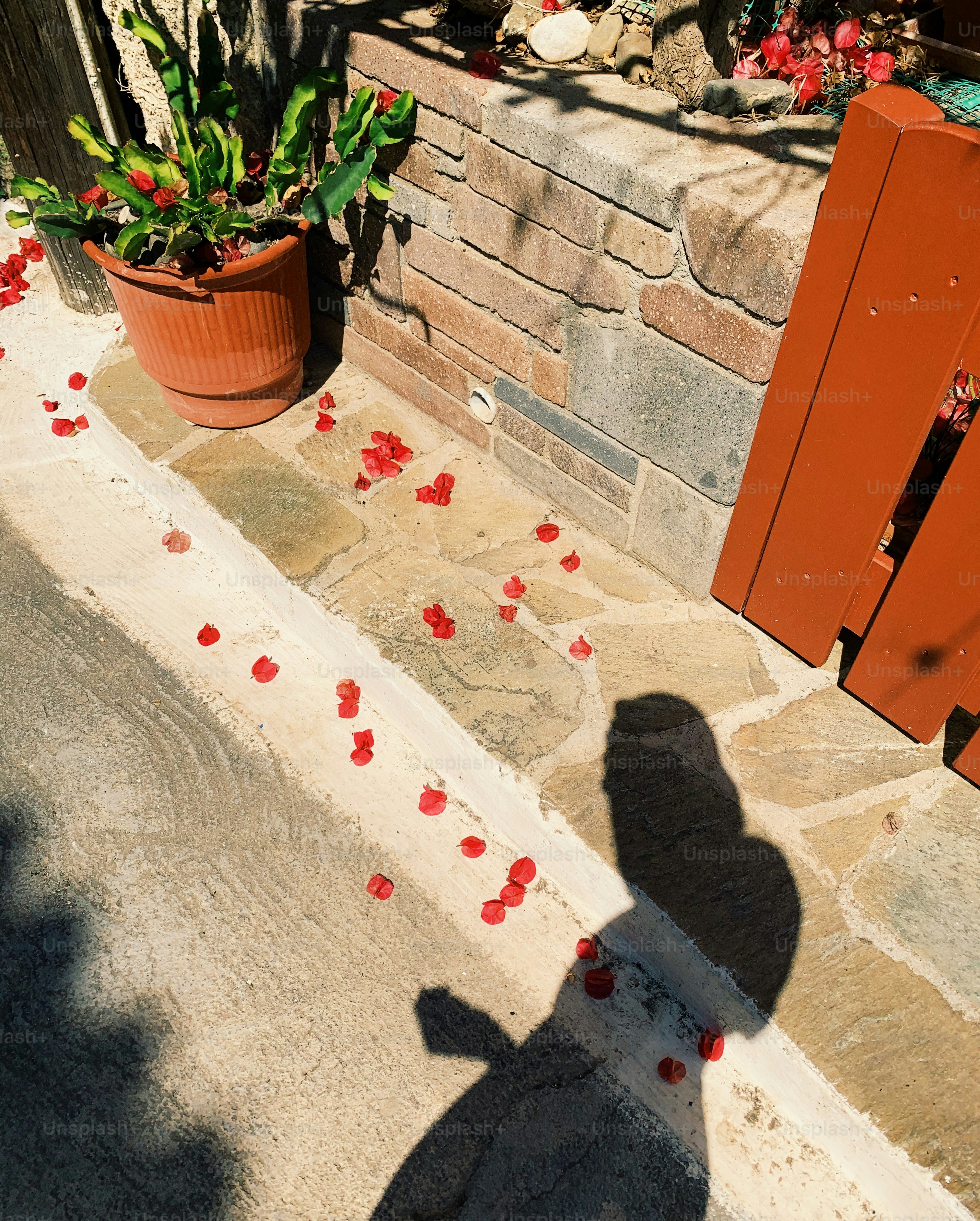 a shadow of a person standing on a sidewalk