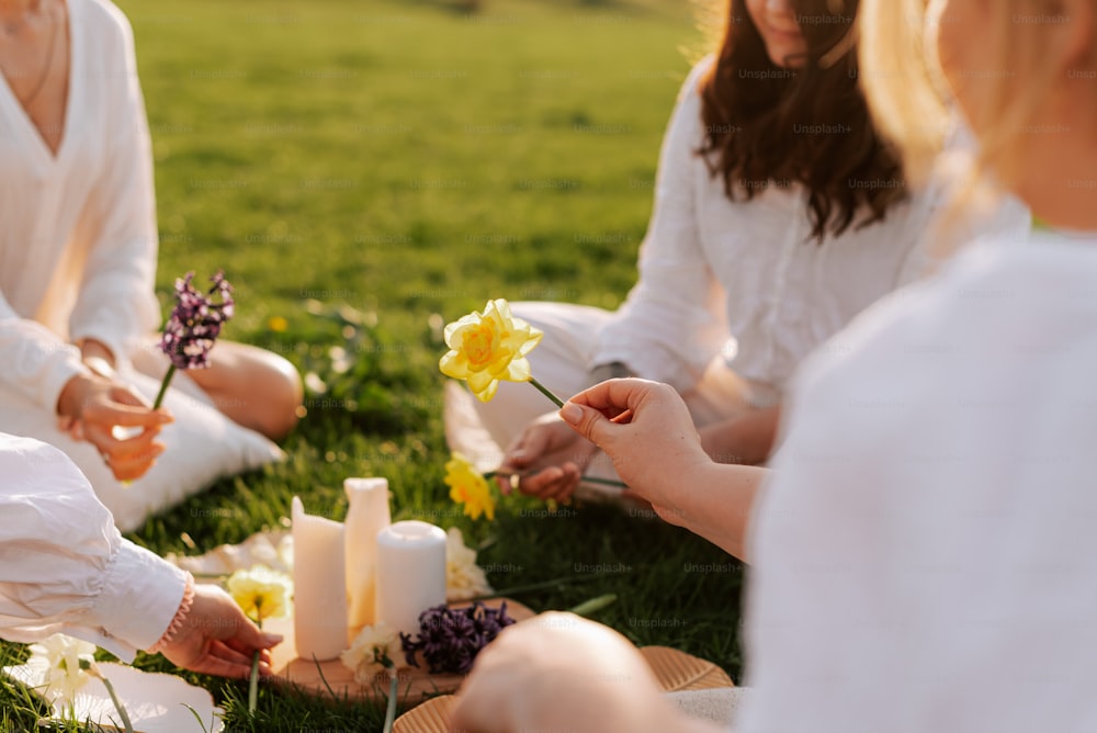 un groupe de personnes assises dans un champ avec des fleurs
